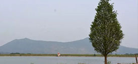 2019家庭休闲垂钓体验之旅第二站——预热五一，提前拥抱大自然